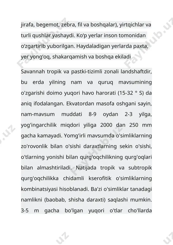 n savannah. savannah hududlari juda kengdir, shuning uchun o'simliklar janubiy va shimoliy chegaralarida biroz farq qiladi. afrikaning shimolidagi cho'l zonasi bilan chegaradosh savannalar qurg'oqchilikka chidamli kam o'tlar, sutni boqish, aloe va juda tarvaqaylab ildizlari bo'lgan akakalarga boy. janubga ular namlikni yaxshi ko'rgan o'simliklar bilan almashtiriladi va daryoning qirg'oqlari bo'ylab, ekvatorial suv havzalariga o'xshash abadiy butalar va lianasli galleriya o'rmonlari savanna zonasiga kiradi. sharqiy afrikaning qattiq vodiysida qit'aning eng katta ko'llari - viktoriya, nyasa, rudolf va albert, tanganika ko'llari joylashgan. savannah o'z banklarida papirus va qamish o'sadigan sersuv joylar bilan bir qatorda. afrikadagi savannada juda mashhur zaxiralar va milliy bog'lar mavjud. tanzaniyada joylashgan serengeti eng mashhurlaridan biri. uning hududining bir qismini krater platosi egallagan. ulardan biri ngorongoroning qariyb 800 ming gektar maydoniga ega bo'lgan, er osti vulqonlarning qadimiy kraterlari bilan mashhur plato. savanna o'simliklari issiqqa to'g'ri keladi, uzoq quruq davrlarda iqlim tropik joylarda hukmronlik qiladi. shuning uchun savanna dunyoning turli burchaklarida, …