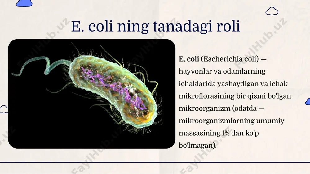 esherichia coli bakteriyalarining sanitariya ahamiyati - Page 4