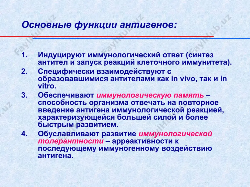 ум 2-валентны. неполные – содержат один антиген-связывающий центр. аффинность – сродство антигенной детерминанты с активным центром антитела, зависит от степени комплементарности структуры антигенсвязывающего центра и антигенной детерминанты. авидность – скорость и прочность связывания антитела с соответствующим антигеном. 4. разнообразие ig определяет антигенную специфичность. 3 типа антигенных детерминант изотипические детерминанты (изотипы) – структуры характерные для индивидуумов одного вида. гетерогенность изотипов связана со структурными различиями константных участков легких и тяжелых цепей. эти различия обуславливают деление ig на классы, подклассы. н-цепи делятся на 5 классов: μ-мю, γ-гамма, α-альфа, δ-дельта, ε-эпсилон; l-цепи делятся на 2 типа: κ-каппа, λ-лямбда. аллотипические детерминанты (аллотипы) – структуры, характерные для некоторых индивидуумов внутри вида. идиотипические детерминанты (идиотипы) – структуры, характерные только для определенных ig одного индивидуума. определяют специфичность взаимодействия данного иммуноглобулина с определенным антигеном. классы иммуноглобулинов, их свойства и строение. свойства классы ig ig g ig m ig a ig e ig d молекулярная масса, d 160000 950000 170000/ …