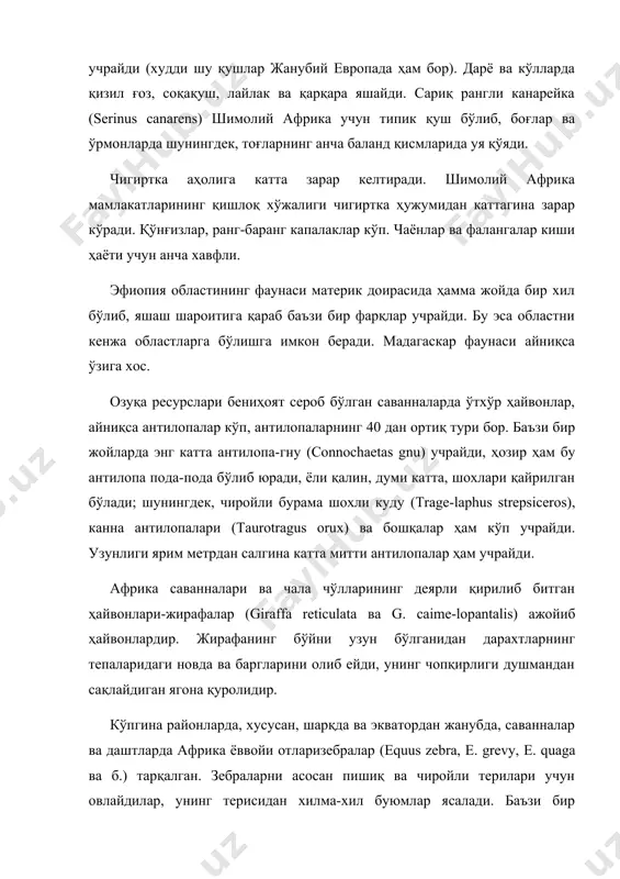 ик доирасида ҳамма жойда бир хил бўлиб, яшаш шароитига қараб баъзи бир фарқлар учрайди. бу эса областни кенжа областларга бўлишга имкон беради. мадагаскар фаунаси айниқса ўзига хос. озуқа ресурслари бениҳоят сероб бўлган саванналарда ўтхўр ҳайвонлар, айниқса антилопалар кўп, антилопаларнинг 40 дан ортиқ тури бор. баъзи бир жойларда энг катта антилопа-гну (connochaetas gnu) учрайди, ҳозир ҳам бу антилопа пода-пода бўлиб юради, ёли қалин, думи катта, шохлари қайрилган бўлади; шунингдек, чиройли бурама шохли куду (trage-laphus strepsiceros), канна антилопалари (taurotragus orux) ва бошқалар ҳам кўп учрайди. узунлиги ярим метрдан салгина катта митти антилопалар ҳам учрайди. африка саванналари ва чала чўлларининг деярли қирилиб битган ҳайвонлари-жирафалар (giraffa reticulata ва g. caime-lopantalis) ажойиб ҳайвонлардир. жирафанинг бўйни узун бўлганидан дарахтларнинг тепаларидаги новда ва баргларини олиб ейди, унинг чопқирлиги душмандан сақлайдиган ягона қуролидир. кўпгина районларда, хусусан, шарқда ва экватордан жанубда, саванналар ва даштларда африка ёввойи отларизебралар (equus zebra, е. grevy, е. quaga ва б.) тарқалган. зебраларни асосан пишиқ …