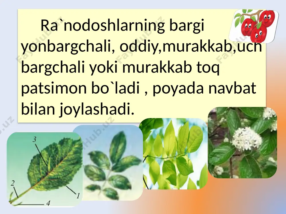 ra`nodoshlar oilasi - Page 3