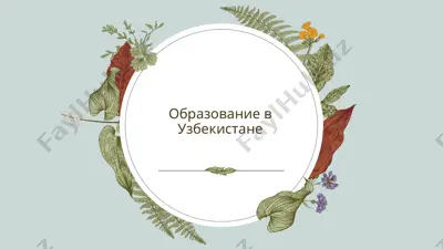 образование в узбекистане — PPTX