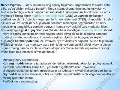nerv toʻqimasi — PPTX