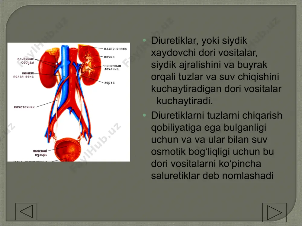 italar. 1.1.1. natriy olib o‘tuvchiga raqobatlashadigan, yoki aldosteronning raqobatlashmaydigan antagonistlari — triamteren, amilorid. 1.1.2 aldosteronning raqobatlashadigan antagonistlari — spironolakton, eplerenon. 1.2. bazal membrana satxida ta’sir beradigan vositalar 1.2.1. karboangidraza ingibitorlari — diakarb. 1.2.2. tiazidli diuretiklar — gidroxlortiazid, siklometiazid. 1.2.3. tiazidsimon diuretiklar — xlortalidon, klopamid, indapamid. 1.2.4. xalqali diuretiklar — furosemid, etakrin kislota, bumetonid, torasemid. 2. osmotik faol diuretiklar — mannit, mochevina. 3. buyraklarda qon aylanishini kuchaytiradigan vositalar — fakultativ diuretiklar-ksantinlar, aminofillin, eufillin , yurak glikozidlari va h.k. 4. dorivor o‘simliklar - dala qirqbo‘g‘ini, archagul barglari, qayin kurtagi, ortosifon barglari, brusnika barglari, o‘rmon er tuti mevasi, makkajo‘xori popugi va h.k. 1. kuchli siydik xaydovchi vositalar— furosemid (laziks), torasemid (torsid, trifas), etakrin kislota (uregit), klopamid (brinaldiks), osmodiuretiklar (mannit, mochevina) i dr. 2. o‘rta kuchli siydik xaydovchi vositalar— tiazidlar: gidroxlortiazid (gipotiazid, dixlotiazid), siklometiazid va tiazidsimonlar — xlortalidon , indapamid, metalozon(oksodolin, gigroton) va h.k. 3. past kuchli siydik xaydovchi vositalar - spironolakton (veroshpiron, aldakton), …