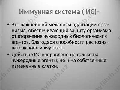 иммунная система — PPTX