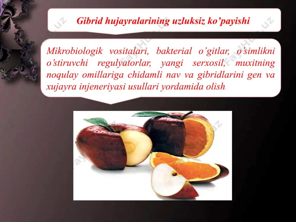 biotexnologiya obektlari e coli zamburug’larning umumiy xususiyatlari - Page 5