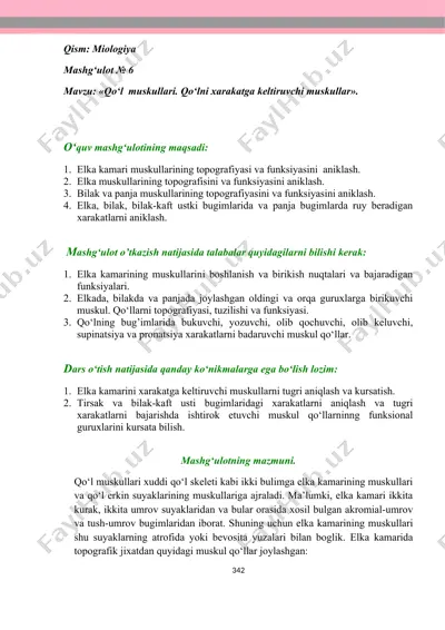 qo‘l muskullari mashg‘uloti — DOC