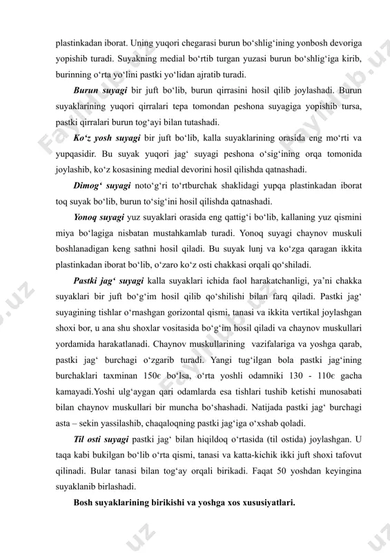 sida bo‘g‘im hosil qiladi va chaynov muskullari yordamida harakatlanadi. chaynov muskullarining vazifalariga va yoshga qarab, pastki jag‘ burchagi o‘zgarib turadi. yangi tug‘ilgan bola pastki jag‘ining burchaklari taxminan 150є bo‘lsa, o‘rta yoshli odamniki 130 - 110є gacha kamayadi.yoshi ulg‘aygan qari odamlarda esa tishlari tushib ketishi munosabati bilan chaynov muskullari bir muncha bo‘shashadi. natijada pastki jag‘ burchagi asta – sekin yassilashib, chaqaloqning pastki jag‘iga o‘xshab qoladi. til osti suyagi pastki jag‘ bilan hiqildoq o‘rtasida (til ostida) joylashgan. u taqa kabi bukilgan bo‘lib o‘rta qismi, tanasi va katta-kichik ikki juft shoxi tafovut qilinadi. bular tanasi bilan tog‘ay orqali birikadi. faqat 50 yoshdan keyingina suyaklanib birlashadi. bosh suyaklarining birikishi va yoshga xos xususiyatlari. yangi tugilg‘an chaqaloqlarda bosh suyagi o‘zaro birikmagan 23 ta alohida suyaklardan tashkil topgan bo‘lib, ular o‘rtasida yumshoq joylar (bo‘shliqlar) ya’ni liqildoqlar bo‘ladi. katta liqildoq peshona va tepa suyaklari o‘rtasida joylashgan, uning uzunligi 3,5 sm, eni 2,5 sm bo‘ladi. bu liqildoq bola …