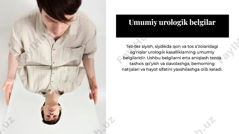a (mcburney nuqtasi) yuboriladi va appenditsitni simulyatsiya qiladi; chap tomonda chap pastki kvadrantga. • pastki siydik yo’llarining obstruktsiyasi siydik pufagining qo’zg’aluvchanligini (chastotasi, shoshilinchligi va suprapubik noqulaylik) keltirib chiqaradi. vesikal va prostatik og’riq vesikal og’riq ⚫ ushlab turish yoki yallig’lanish tufayli. • siydikni ushlab turish bilan bog’liq bo’lmagan doimiy suprapubik og’riqlar kamdan-kam hollarda urologik kelib chiqadi. • qovuqning yallig’lanish kasalliklari odatda yuzaga keladi vaqti-vaqti bilan suprapubik noqulaylik. prostatik og’riq ikkilamchi shish va prostata kapsulasining kengayishi bilan birga yallig’lanish tufayli. •pastki qorin, inguinal, perineal, lumbosakral va/yoki to’g’ri ichakdagi og’riqlar uchun yomon lokalizatsiya qilingan. jinsiy olat va moyak og’rig’i jinsiy olat og’rig’i • bo’shashgan jinsiy olatni og’rig’i siydik pufagi yoki siydik yo’lidan va maksimal darajada siydik yo’lidagi og’riqdir. •olatni tik turgan joydagi og‘riqlar odatda peyroni kasalligi yoki priapizm tufayli yuzaga keladi. skrotal og’riq •birlamchi og’riq skrotum ichidan paydo bo’ladi: • o’tkir epididimit yoki moyakning buralishi. • gidrosel yoki varikosel tufayli skrotumning surunkali og’rig’i …