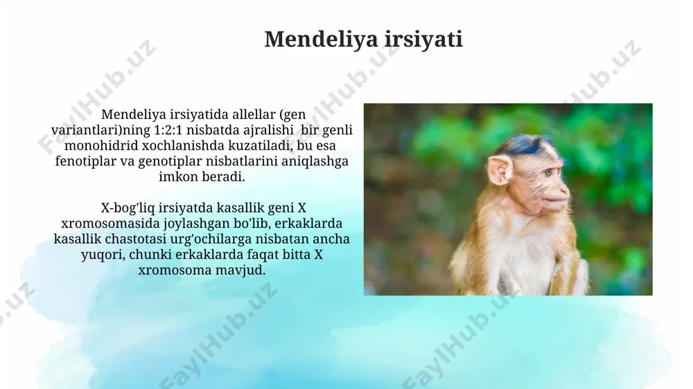 hragan allelning ta'sirini yashiradigan ikkinchi x xromosomasi yo'q. masalan, gemoofiliya yoki rang ko'rligi. x-bog'liq dominant kasalliklar erkak va urg'ochilarga bir xil darajada ta'sir qiladi, lekin kasal erkaklarning barcha qizlari kasal bo'ladi. taxminan 50% ehtimol bilan kasallik avlodga o'tadi. gen imprintingi monoallelik ekspressiya deb ataladigan bu hodisa, 15-xromosomaning prader-villi va angelman sindromlarida koʻzga tashlanadi va bu kasalliklarning turli xil klinik koʻrinishlariga olib keladi. gen imprintingi jarayonida dnk metilasyon, histon modifikatsiyasi va no-kodlovchi rnklar kabi epigenetik mexanizmlar muhim rol oʻynaydi va bu jarayonlar reproduktiv hujayralar hosil boʻlishida dasturlashtiriladi. poligen irsiyat ko'p genli merosning murakkabligi sababli, ushbu turdagi kasalliklarni aniqlashda genom kengligi assotsiatsiya tadqiqotlari (gwas) kabi ilg'or usullar qo'llaniladi. ko'p genli irsiy kasalliklarga moyillik, masalan, 2-toifa diabet yoki yurak-qon tomir kasalliklari, o'zgaruvchan penetrantlik va ekspressivlik bilan tavsiflanadi. multifaktorial irsiyat ko'p faktorli irsiyatda fenotipik xususiyatlar bir nechta genlarning va atrof-muhit omillarining o'zaro ta'siri natijasida shakllanadi, masalan, bo'y, vazn yoki qon bosimi kabi xususiyatlar 100 …
