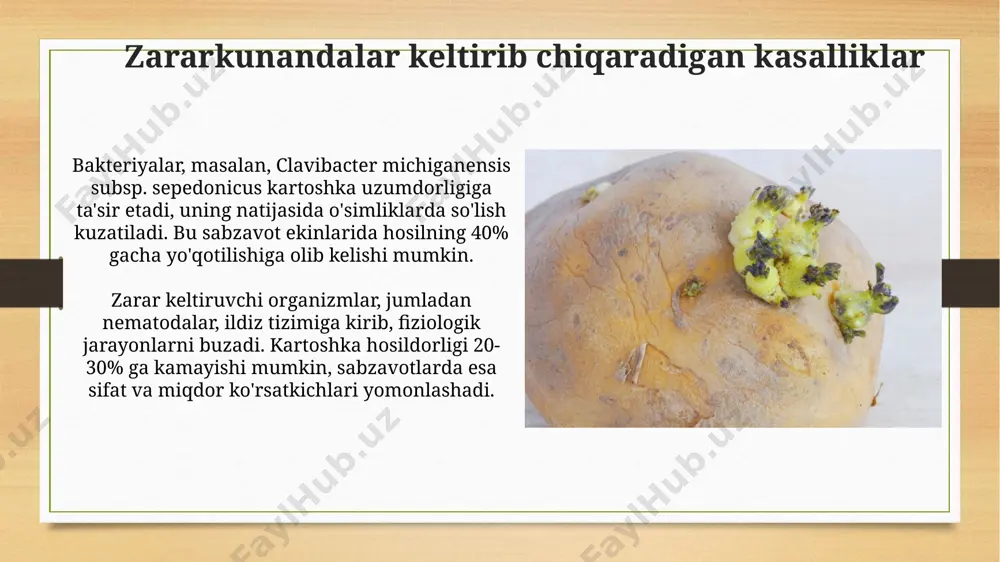 kartoshka va sabzavot ekinlarining kasalliklari - Page 3