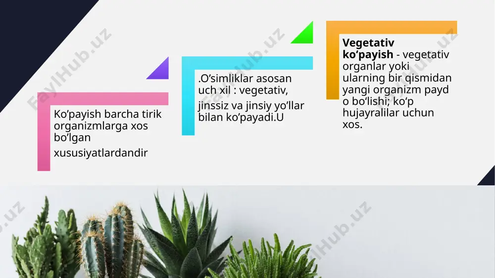 ili yoki ikki yilda bir marta roʻy beradi. koʻp yillik oʻsimliklarda esa bir necha yilda bir kuzatiladi. ildizpoyasidan koʻpayadigan oʻsimliklarga ajriq, gʻumoy, salamalaykum va boshqalar kiradi. ildizpoyasidan koʻpayadigan ajriq, gʻumoy, salamalaykum va boshqalar kiradi. tugunaklar. zira (bunium persicum), xashaki zira (qarg`aoyoq) va skorsonera tugunaklarda o`simlik uchun zarur oziq moddalar to`planadi va vegetativ ko`payish vazifasini bajaradi. bunday ko`payishni kartoshka, topinambur va boshqa o`simliklarda ko`rish mumkin. bu xildagi tugunaklar er ostida joylashgani uchun er osti tugunaklar deb ataladi. o`rta osiyo cho`l, adir va tog` o`simliklari orasida lola, narsiss, chuchmo`ma, boychechak,liliya (piyozgul), piyoz kabilar piyozboshlar bilan ko`payadi. ba’zi o`simliklarda piyoz kurtaklari barg qo`ltiqlari yoki to`pgullarida hosil bo`ladi. sarimsoq va liliya singari o`simliklarning piyozi mayda piyozchalardan iborat,ular to`kilsa, undan yangi o`simlik o`sadi. bund piyozboshi orqali koʻpayadigan oʻsimliklar: lola, gladiolus, nargis va boychechak. oʻsimliklarning ildizidagi kurtaklaridan yangi novdalar hosil boʻladi va ildiz bachkisi deb ataladi. ildiz bachkisi orqali koʻpayadigan oʻsimliklarga terak, naʼmatak, yantogʻ, qoraqat kiradi. …