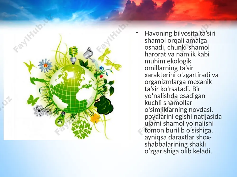 quruqlik-havo, tuproq, tirik organizmlar yashash muhitlari sifatida. 11 - sinf - Page 4