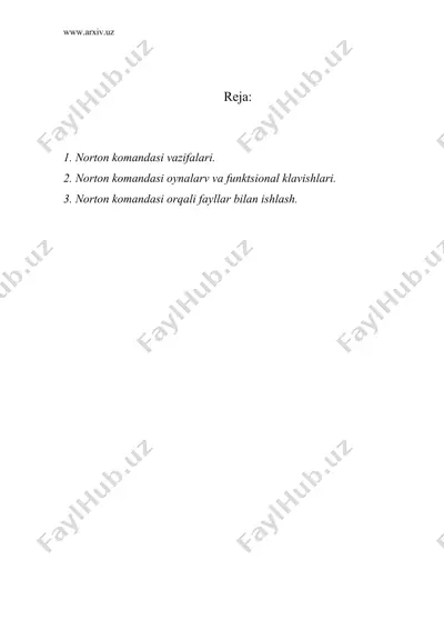 norton commander dasturlar qobig`i — DOC