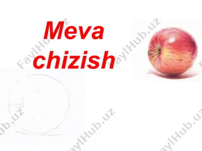 meva chizish — PPTX