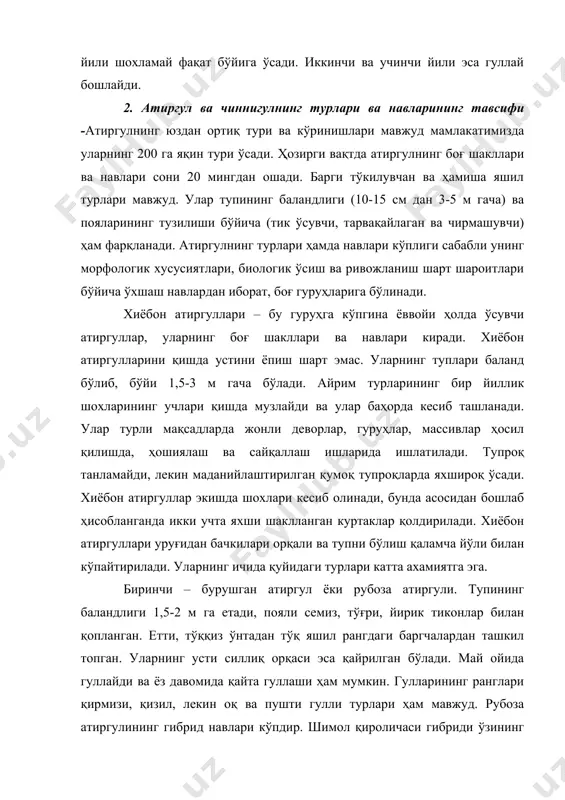 мичурин навлари кенг тарқалган. гулдаста шарқ юлдузи ва бошқалар шулар жумласидандир. сариқ атиргул ватани ўрта ва кичик осиё тупларининг баландлиги 0,5 дан 2 м гача поялари тиканлари билан қопланган. май ойида гуллайди гуллари сариқ рангда, йирик алоҳида, хиди ёқимсиз. қишнинг совуқ кунларида музлайди, шу сабабли устини ёпиш керак. унумдор тупроқларни ёқтиради, ортиқча намликка чидамсиз. гул барглари икки рангда. жон биколор шакли энг катта қизиқиш уйғотадиган нав. гул баргининг усти оч сариқ ич томони эса қизил рангда ремонтант атиргули – бу гибридлар бўлиб уларнинг бошланғич навлари иссиқсевар бенгалия (ҳинд) ва хитой (чой) атиргулларини осиё, европа ва бошқа наматакнинг ёввойи турлари билан чатиштириб олинган. тупларининг баландлиги 1-1,5 м га етади, гуллари зич серяпроқ ранги оқ, пушти ва қизил, кучли ҳидга эга май ойида тўлиқ, кузда эса қайта гуллайди. лекин кучсизроқ бўлади, ўзбекистон шароитида қишга чидамли, аммо ўрта минтақада қишда ҳимояга муҳтож. кўкаламзорлаштиришда камроқ ишлатилади, чунки гуллаб бўлгандан сўнг туплар ўз манзарасини йўқотади. …