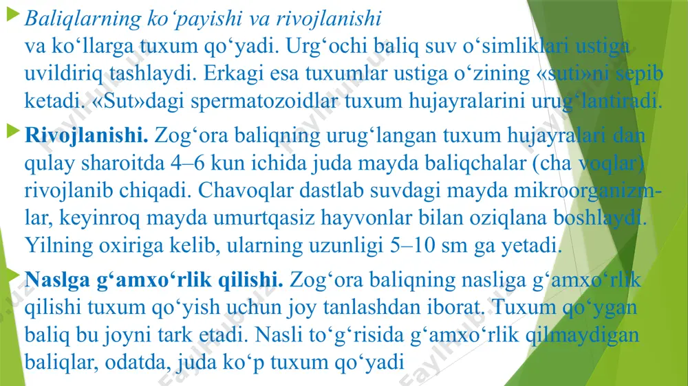 baliqlarning rivojlanishi va ko'payishi - Page 3
