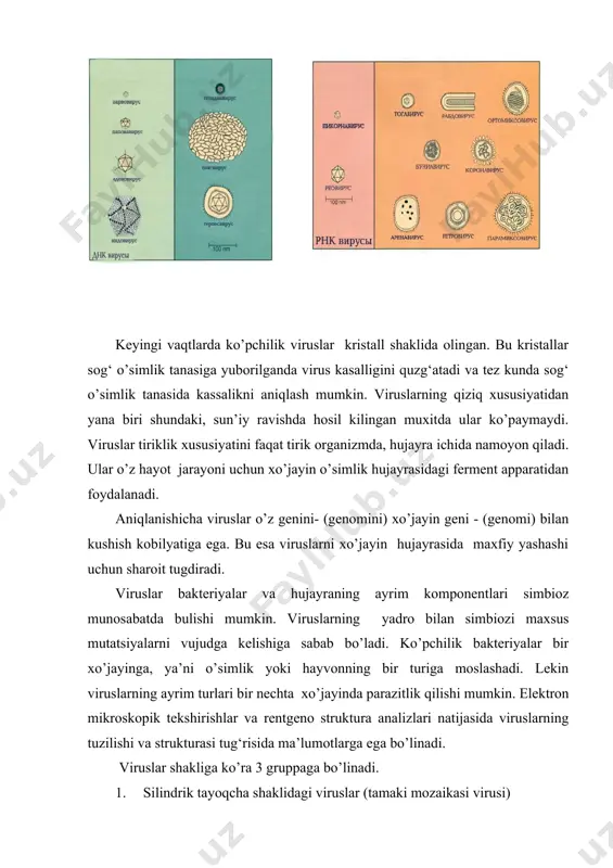 fiksatsiya qiladi. mazkur bo’lim ancha tabiiy. bakteriyalar va ko’k- yashil suv o’tlarini bir gruppaga birlashtirishni birinchi bo’lib 1853 yilda olim f. kon taklif qilgan. shundan keyin bu sistematik gruppa klassik adabiyotdan mustaxkam urin olgan. keyinroq vettshteyn - 1901 yilda- engler-1912 yilda, nemets-1929 yilda bu gruppani chukurroq urganganlar. olib borilgan ko’zatishlar bakteriyalar va ko’k- yashil suv o’tlarning strukturasi va bioximyoviy jihatdan uxshashligi tasdikladilar. asosiy uxshashlik belgilari: yadro vazifasini bajarishni o’taydigan nukleotidlarda membrana yo’q. 2. avtotrof formalarida fotosintez membrana bo’lmaydi. 3. sitoplazma o’zining fizik xossalariga ko’ra gel hisoblanadi. shuning uchun ham termik ta’sir (yukori temperatura) ga ega va kuchli suvsizlanishga moslashgan. 4. tipik jinsiy ko’payishi bu gruppaga o’simliklarda yo’q. jinssiz ko’payish esa maydalanish, parchalanish, bo’linish yuli bilan boradi. shu sababli bularning nomi ba’zi adabiyotlarda uvoqlantiruvchilar (drobinyakalar) deb yuritiladi. 5. hujayra pustining asosini oqsil tashkil etadi. shu bilan birga bakteriyalar va ko’k -yashil suv o’tlarning uxshash bulmagan tomonlari ham bor: 1. ko’pchilik ko’k …