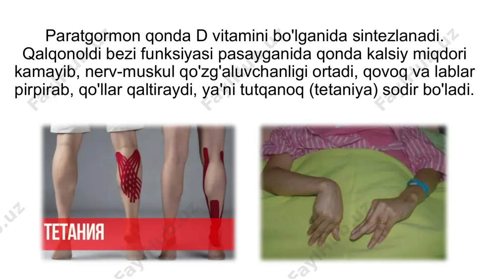 qalqonoldi bezlari haqida ma'lumotlar - Page 4