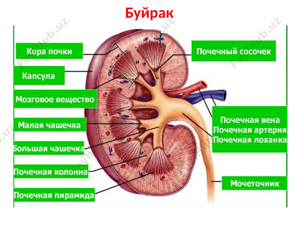 lides/_rels/slide43.xml.rels ppt/slides/_rels/slide48.xml.rels ppt/slides/_rels/slide47.xml.rels ppt/slides/_rels/slide46.xml.rels ppt/slides/_rels/slide45.xml.rels ppt/slides/_rels/slide44.xml.rels ppt/slides/_rels/slide33.xml.rels ppt/presentation.xml ppt/slides/slide54.xml ppt/slides/slide32.xml ppt/slides/slide33.xml ppt/slides/slide34.xml ppt/slides/slide35.xml ppt/slides/slide36.xml ppt/slides/slide37.xml ppt/slides/slide38.xml ppt/slides/slide39.xml ppt/slides/slide40.xml ppt/slides/slide31.xml ppt/slides/slide30.xml ppt/slides/slide29.xml ppt/slides/slide20.xml ppt/slides/slide21.xml ppt/slides/slide22.xml ppt/slides/slide23.xml ppt/slides/slide24.xml ppt/slides/slide26.xml ppt/slides/slide27.xml ppt/slides/slide28.xml ppt/slides/slide41.xml ppt/slides/slide42.xml ppt/slides/slide43.xml ppt/slides/slide64.xml ppt/slides/slide63.xml ppt/slides/slide62.xml ppt/slides/slide61.xml ppt/slides/slide60.xml ppt/slides/slide59.xml ppt/slides/slide58.xml ppt/slides/slide57.xml ppt/slides/slide56.xml ppt/slides/slide65.xml ppt/slides/slide53.xml ppt/slides/slide52.xml ppt/slides/slide45.xml ppt/slides/slide46.xml ppt/slides/slide47.xml ppt/slides/slide48.xml ppt/slides/slide49.xml ppt/slides/slide50.xml ppt/slides/slide51.xml ppt/slides/slide55.xml ppt/slides/slide19.xml ppt/slides/slide17.xml ppt/slides/slide7.xml ppt/slides/slide6.xml ppt/slides/slide5.xml ppt/slides/slide4.xml ppt/slides/slide3.xml ppt/slides/slide2.xml ppt/slides/slide1.xml ppt/slides/slide8.xml ppt/slides/slide18.xml ppt/slides/slide10.xml ppt/slides/slide16.xml ppt/slides/slide15.xml ppt/slides/slide14.xml ppt/slides/slide9.xml ppt/slides/slide12.xml ppt/slides/slide13.xml ppt/slides/slide11.xml ppt/slidelayouts/_rels/slidelayout1.xml.rels ppt/slidelayouts/slidelayout7.xml ppt/slidelayouts/slidelayout8.xml ppt/slidemasters/_rels/slidemaster1.xml.rels ppt/slidelayouts/slidelayout10.xml ppt/slidelayouts/slidelayout11.xml ppt/slidelayouts/slidelayout9.xml ppt/slidelayouts/slidelayout6.xml ppt/slidel