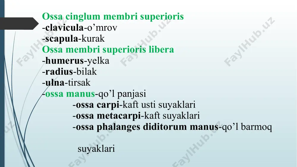 png image22.png image23.png image24.png image25.png image26.png image27.png image28.png image29.png image30.png image31.png image32.png image33.png image34.png image35.png image36.png image37.png image38.png image39.png image40.png image41.png image42.png image43.png image44.png image45.png image46.png image47.png image48.png image49.png image50.png image51.png image52.png image53.png /docprops/thumbnail.jpeg