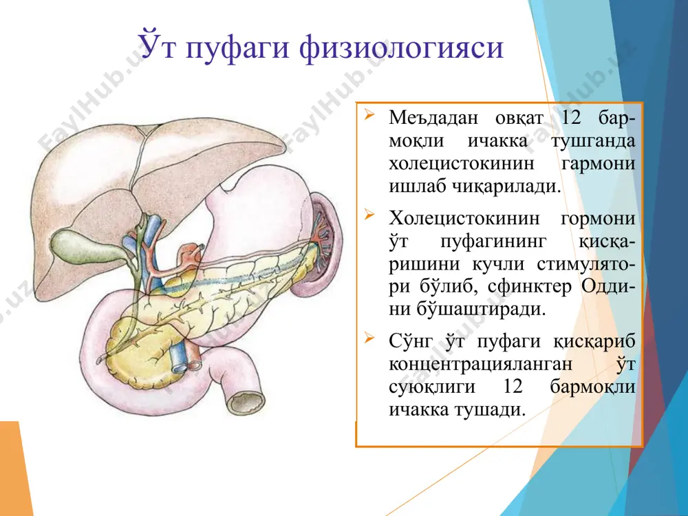 реатит ва х.) - бемор ва врач нурланиши image1.png image2.jpeg image3.jpeg image4.png image5.jpeg image6.png