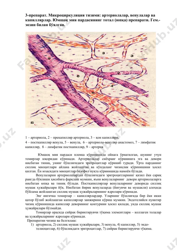 arteriya preplari - Page 3