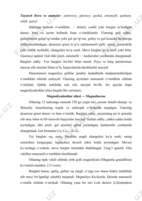 r hisoblanadi. oilaning tipik vakili sifatida yirik gulli magnoliyani (magnolia grandiflora) ko‘rsatish mumkin. (15-rasm). barglari butun, qattiq, gullari oq rangli, o‘ziga xos limon hidini (tarkibida efir moyi bo‘lganligi sababli) tarqatadi. magnoliya kavkazda, qrimda manzarali o‘simlik sifatida o‘stiriladi. oilaning yana bir turi lola daraxti (liliodendron tulipifera). bu daraxtning balandligi 60 metrga qadar, barglari to‘rt qirrali, guli lola guliga o‘xshash, to‘q sariq (zarg‘aldok) rangli. mamlakatimizda bu o‘simlik ham janubiy hududlarda manzarali o‘simlik sifatida o‘stiriladi. yovvoyi holda lola daraxti janubiy amerikada tarqalgan. lavrgullilar qabilasi — laurales. magnoliyagullilarga yaqin eng katta qabilalardan biri, uning 11 oilaga mansub 2700 ga yaqin turi ma’lum. aksariyat vakillari daraxt yoki buta shaklidagi o‘simlik. ayrim hollarda liana va bargsiz parazit o‘tsimon turlari ham uchraydi. barglari navbatlashib (suprotiv), qarama-qarshi yoki, ayrim hollarda halqa shaklida joylashgan. gul qo‘rg‘oni tsiklik yoki spiral shaklda, gul kosa va gultoj barglari differentsiallashmagan, deyarli erkin. changchilari cheksiz, urug‘chisi apokarp, urug‘i endospermli. lavrdoshlar oilasi — lauraceae oilaning …