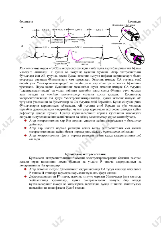 а тарқалади. бунда р тишча амплитудаси пастлайди ва икки фазали бўлиб қолади. экгда ii стандарт тармоқда бўлмачали экстрасистолия кузатилиши · агар экстрасистолия бўлмачанинг пастки қисмидан хосил бўлса экгда экстрасистолия манфий р тишча билан намоён бўлади. чунки импульс пастдан юқорига қараб йўналади. · баъзан бўлмачали экстрасистолияда ав тугун абсолют рефрактор даврда бўлиб қолади ва экгда навбатдан ташқари экстрасистолик р1 дан кейин qrs аниқланмайди, бу эса блокланган бўлмачали экстрасистолия дейилади. бўлмачали экстрасистолияда pq интервал эктопик марказ жойлашувига қараб нормал, қисқарган ва узайган бўлиши мумкин. эсда сақлаш учун! · вақтдан олдин, навбатдан ташқари р1 тишча намоён бўлиши ва ундан сўнг qrst комплекси келиши. · экстрасистолиядаги р1 тишча деформацияси ва полярлиги ўзгариши. · экстрасистолиядаги qrst комплекси ўзгаришсиз бўлиши, нормал комплексга ўхшаши. · бўлмачали экстрасистолиядан сўнг нотўлиқ компенсатор пауза келиши. ав тугунли экстрасистолия эктопик импулс ав тугунда хосил бўлади ва икки йўналиш бўйича тарқалади: қоринчалар ўтказувчи системаси орқали юқоридан пастга ва ав тугундан бўлмачаларга яъни …