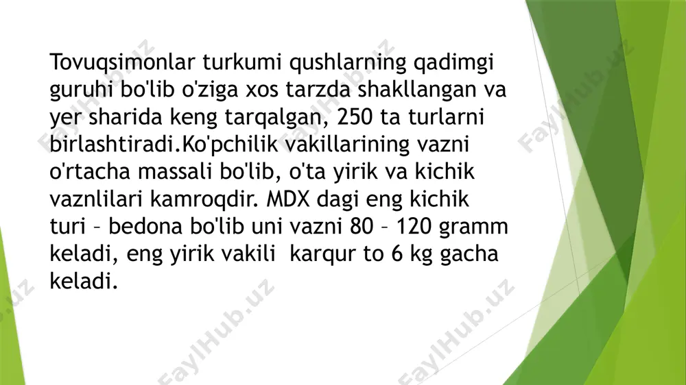 patka) yaqin masofaga migrastiya qilishi malum. tovuqsimonlarning ko'payishi tovuqsimonlarning kichik, o'rtacha kattalikdagi turlari jinsiy balogatga bir yoshida yetsa, yiriklari biroz keyinroq voyaga etadi va urchishga kirishadi. tovuqsimonlarning quyisi poligam bo'lib, juft hosil qilmaydi. xo'rozlar nasl uchun qaygurmaydi. ana shunday turlarida jinsiy dimorfizm yaxshi rivojlangan. ayrim turlari monogam juft hosil qiladi. bu turlari nasliga g'amxo'rlik qiladi.poligam turlarida ko'payish davrida guruhlar hosil qiladi. ko'p tovuqsimonlar uyasini yerda yasaydi. uyasi sodda ko'rinishda, yani tuproqni biroz kovlash bilan yasaladi. unda bazan o'simlik shoxchalari to'shaydi, o'zini patlarini ham to'shashi mumkin. oxirgi xolat tuxumni bosish davrida ko'zga tashlanadi. tovuqsimonlarning xilma xilligi kaklik-alectoris chukar cerey bu qushning areali ancha keng bo'lib unga janubiy yevropa, old osiyo, va markaziy osiyo kiradi. areal doirasida nuqul tog`larda yashaydi. bedana-coturni coturnika bedona tovuqsimonlar turkumidagi eng kichik qush. uning vazni 73 – 134 gramm keladi. deyarli barcha yerda yashaydi. onda – sonda to'satdan vaziyat bilan bog`liq holda birdan uchadi. u ko'pincha o't …