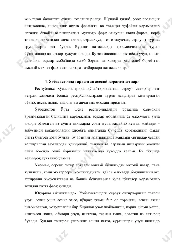 а, шунингдек, айрим қон касалликларига чидамли хайвон хисобланади. бу зотнинг яратилишига рус агрономи м.м.бушуев асос солган. у мирзачўл зонасидаги махаллий сигирларни четдан келтирилган голланд ва швиц зот буқалардан қочириб, олинган дурагайларни яхши тарбиялаш ва парвариш қилиш натижасида етиштирган. бу зотнинг ранги асосан оқ, лекин танасининг айрим жойлари - боши, оёғи, қулоғи, қорни ва бошқа жойлари қора, жигар ранг, қизил бўлади. баoзан уларнинг ранги бутунлай оқ бўлиши мумкин. у асосан сирдарё ва қисман жиззах областлари хўжаликларда, шунингдек, тошкент области колхоз-совхозларида учрайди. сигирларнинг тирик вазни 400-450 кг, буқаларники 600-700 кг ва ундан ортиқ бўлади. улар соғин даврида 2500-3000 кг, рекордчи сигирлар 5000-5200 кг сут беради. сутидаги ёғ миқдори ўртача 4,1-4,4% ни ташкил этади. сигирларнинг сути серқаймоқлиги билан бошқа зот сигирларининг сутидан фарқ қилади. ўзбекистон хўжаликларида юқорида номлари айтиб ўтилган гўштдор зотларнинг фақат айримлари (қозоқи оқбош, санта-гертруда, абердин-ангус, герефорд ва жуда оз миқдорда қалмоқ зотлари) кўпайтирилади. чунки республикамизда табиий яйловлар оз бўлиши туфайли …