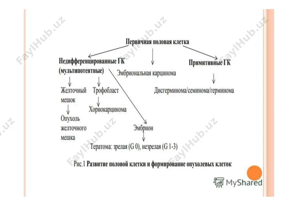 медицинский институт каракалпакстана - Page 3