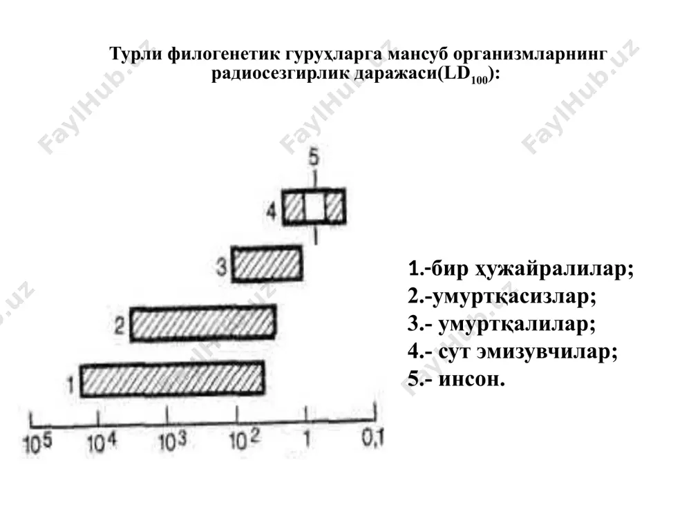 нлари; 9) мускул ва бириктирувчи тўқима; 10) суяк ва тоғай тўқималари; 11) нерв тўқимаси. критик органлар радиацион нурланиш таъсирида одам организмида – ўткир ва сурункали нурланиш касаллиги, катаракта, лейкоз, анемия, лимфома, миелома, қалқонсимон без саратони, нафас олиш тизими органлари ўсма касалликлари, ошқозон–ичак саратони, сийдик пуфаги саратони, кўкрак бези саратони, тухумдон ва уруғдон саратони, тери саратони, суяк саратони, мия ўсмаси ва бошқа онкологик касалликлар келиб чиқиши қайд қилинган. при облучении у человека в дальнейшем может развиться рак почти любого из органов: щитовидной железы, молочной железы, толстой кишки, почки, мочевого пузыря, кожи, трахеи, бронхов, легкого, пищевода, желудка, яичников и остальных органов. стомотологик рентген аппаратидан бир марта фойдаланиш давомида 3 мзв радиацион нурланиш олиш қайд қилинади. рентген томография усули ёрдамида одам организмида тўлиқ текшириш давомида ~15–20 мзв радиация олиш қайд қилинади маъруза 11 мавзу: ионлантирувчи нурларнинг яхлит организмга таъсири. режа: радиопротекторлар: фармакологик синтезлан-ган ва табиий радиопротекторлар одам нур хасталиги: ўткир ва стрункали. радиацион …