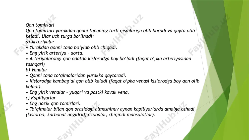 yurak qon tomirlari tizimi - Page 4