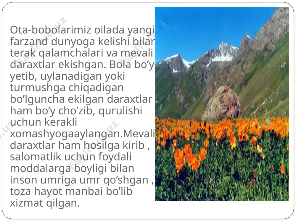 tabiat-estetik tarbiya vositasi - Page 5