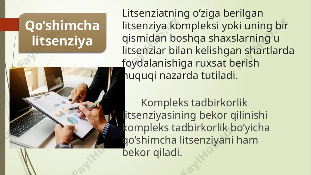 kompleks tadbirkorlik litsenziyasi (franshizing) - Page 5