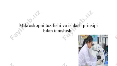mikroskopni tuzilishi va ishlash prinsipi — PPTX