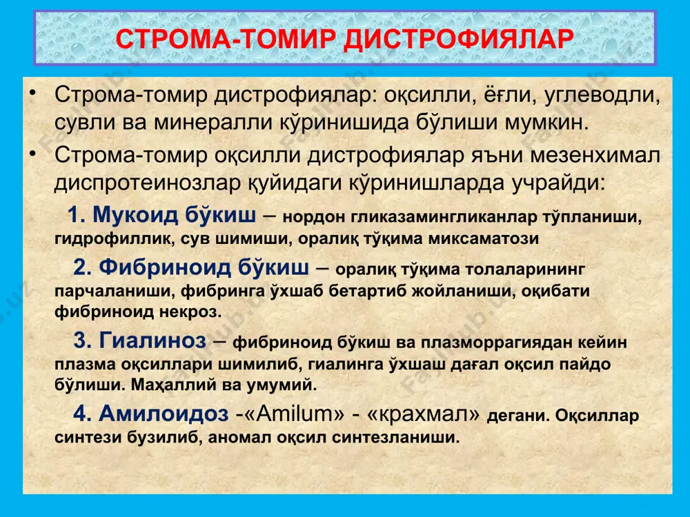 строма-томир дистрофиялар - Page 4