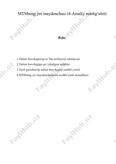 mtmning yer maydonchasi (4-amaliy mashg‘ulot) — DOCX