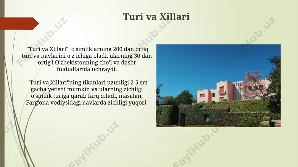 kni oshiradi. tirik to'siq sifatida ishlatilganda, o'rtacha 2-3 metr balandlikdagi tikanli butalar samarqand viloyati kabi qurg'oqchil hududlarda shamol eroziyasidan himoya qilishda samarali bo'ladi va 10-15% suv tejamkorligiga olib keladi. tarqalishi va yashash muhiti тиканли буталар, масалан, қанотли ўсимликлар синфига мансуб бўлиб, сув захиралари кам бўлган, 20-40°с ҳароратли яшаш муҳитига мослашган. ўзбекистондаги 150 га яқин тиканли бута турининг ҳаёт цикли 10-15 йилни ташкил қилади ва улар ўз яшаш муҳитларидаги ҳарорат ўзгаришларига чидамли. ko'payishi ko'payishining asosiy usuli urug' orqali bo'lib, har bir butaning 1000 dan ortiq urug' hosil qilishi mumkin, bu esa o'zbekistonning cho'l va dasht hududlarida uning tez tarqalishiga sabab bo'ladi. vegetativ ko'payish yo'li bilan, ya'ni ildiz poyalari orqali ham ko'payadi, bu esa 5-7 yil ichida butaning katta maydonni egallab olishiga olib keladi va buxoro viloyatida keng tarqalgan muammo hisoblanadi. an'anaviy tibbiyotda qo'llanilishi buxoro viloyatida tikanli butaning mevasi, 15-20 dona miqdorida iste'mol qilinganda, qon bosimini tartibga solishda va qon aylanishini yaxshilashda …