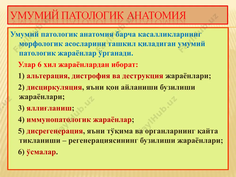 patologik anatomiya - Page 5