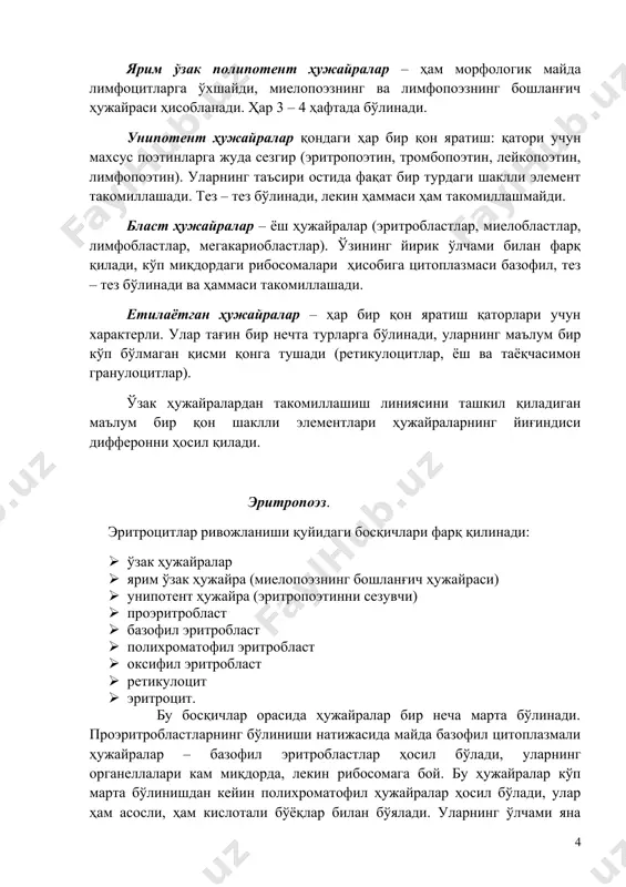 , лимфопоэтин). уларнинг таъсири остида фақат бир турдаги шаклли элемент такомиллашади. тез – тез бўлинади, лекин ҳаммаси ҳам такомиллашмайди. бласт ҳужайралар – ёш ҳужайралар (эритробластлар, миелобластлар, лимфобластлар, мегакариобластлар). ўзининг йирик ўлчами билан фарқ қилади, кўп миқдордаги рибосомалари ҳисобига цитоплазмаси базофил, тез – тез бўлинади ва ҳаммаси такомиллашади. етилаётган ҳужайралар – ҳар бир қон яратиш қаторлари учун характерли. улар тағин бир нечта турларга бўлинади, уларнинг маълум бир кўп бўлмаган қисми қонга тушади (ретикулоцитлар, ёш ва таёқчасимон гранулоцитлар). ўзак ҳужайралардан такомиллашиш линиясини ташкил қиладиган маълум бир қон шаклли элементлари ҳужайраларнинг йиғиндиси дифферонни ҳосил қилади. эритропоэз. эритроцитлар ривожланиши қуйидаги босқичлари фарқ қилинади: · ўзак ҳужайралар · ярим ўзак ҳужайра (миелопоэзнинг бошланғич ҳужайраси) · унипотент ҳужайра (эритропоэтинни сезувчи) · проэритробласт · базофил эритробласт · полихроматофил эритробласт · оксифил эритробласт · ретикулоцит · эритроцит. бу босқичлар орасида ҳужайралар бир неча марта бўлинади. проэритробластларнинг бўлиниши натижасида майда базофил цитоплазмали ҳужайралар – базофил эритробластлар ҳосил бўлади, уларнинг …