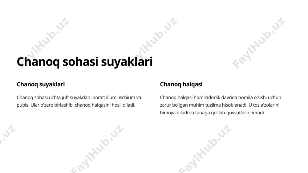 chanoq sohasi anatomiyasi - Page 3