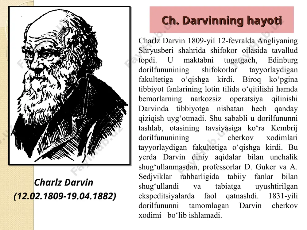 ardor, tabiiy sharoitda bu fanlar bo`yicha tadqiqot ishlarini olib borish metodikasini anchagina egallagan edi. bundan xabardor bo`lgan professor genslo uni ingliz harbiy doiralari tomonidan butun jahon bo`ylab safarga jo`natilayotgan “bigl” kemasidagi ekspeditsiya tarkibida tabiyotshunos sifatida ishtirok etishga tavsiya berdi. “bigl” kemasidagi safar va uning ahamiyati.“bigl” kemasidagi safar 1831–yil 27 – dekabrdan boshlanib, 1836 – yil 2 oktyabrigacha, ya’ni salkam 5 yil davom etdi. kema safarning asosiy vazifasi dengiz xaritalarini mufassal tuzish maqsadida janubiy amerikaning sharqiy va g`arbiy sohillarini hamda unga yaqin orollarni suratga olishdan, yer atrofida bir nechta xronometrik o`lchov o`tkazishdan iborat edi. “bigl”ning marshruti. 1831 – yilda angliya qirg`oqlaridan chiqqan “bigl” kemasi yashil burun orollarida bir oz to`xtagandan so`ng, janubiy amerikaning sharqiy qirg`oqlariga yetib keldi. u aprel oyida rio-de janeyroda so`ngra montevideo, buynos – ayresda bo`lib, olovli yer tomon suzadi. keyin yana shimol tomonga qaytib, 1833 – yil avgustda baya – blankaga yetib keladi. 1833-yil dekabrida sharqiy qiyrog`idagi barcha …