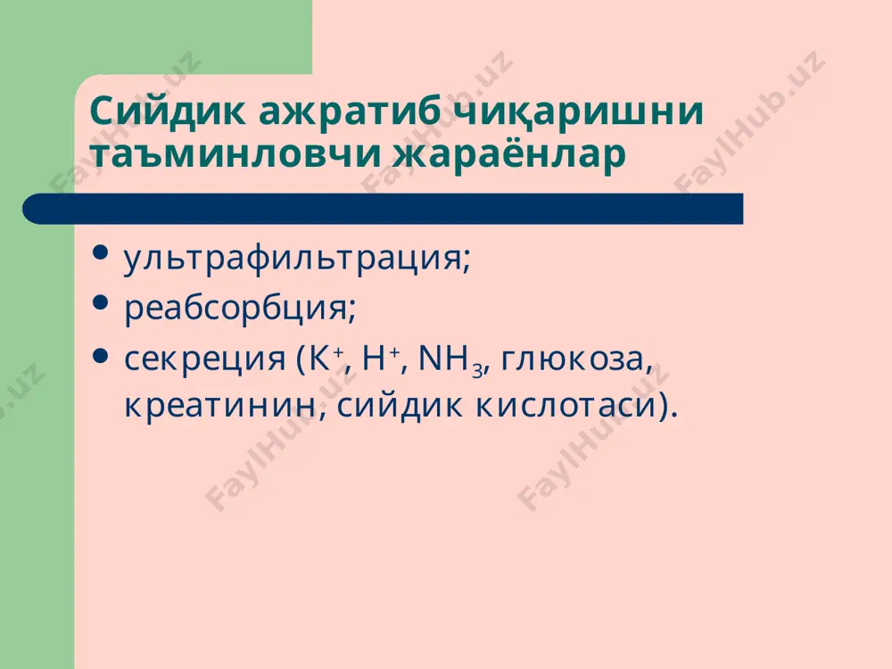 буйраклар патофизиологияси - Page 3