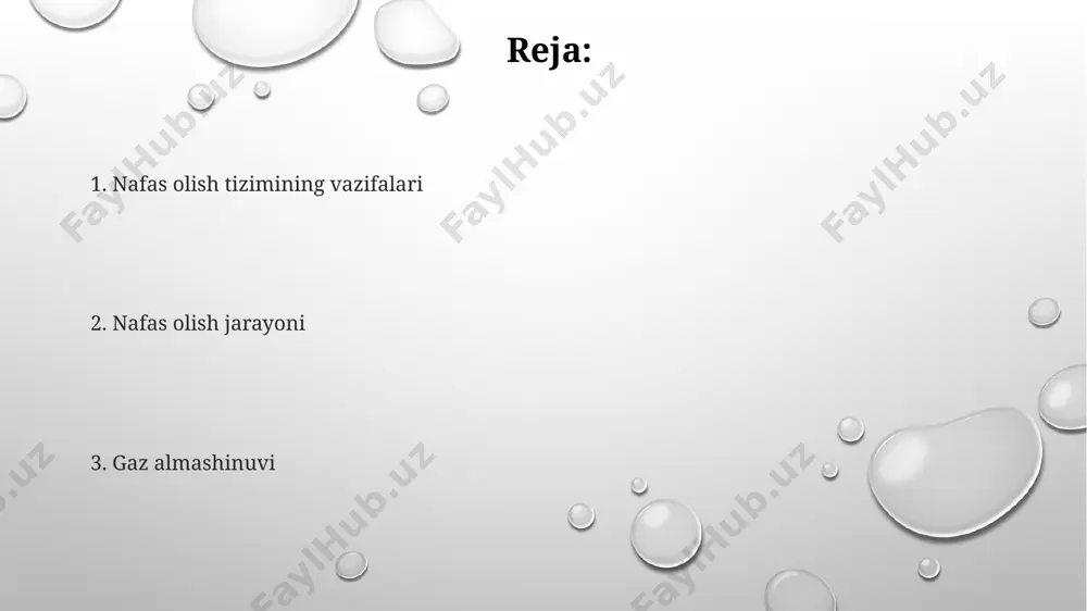 un bo'shlig'idagi mukoza qavati kuniga taxminan 1 litr shilliq ishlab chiqaradi, bu esa chang, bakteriya va boshqa zararli moddalarni ushlab qolishga yordam beradi. tomoq (faring) nafas olish va ovqat hazm qilish yo'llarining kesishish nuqtasi bo'lib, taxminan 12-15 sm uzunlikda va uch qismdan iborat: nazofarinks, orofarinks va laringofarinks. burun bo'shlig'i, taxminan 150 sm² maydonga ega bo'lib, havoni isitish, namlash va tozalashda muhim rol o'ynaydi, shuningdek, hid bilish retseptorlarini o'z ichiga oladi. karbonat angidrid chiqarilishi nafas olish jarayonida taxminan 200 ml/minut karbonat angidrid chiqariladi, bu miqdor jismoniy faollik darajasiga qarab o'zgaradi va metabolik jarayonlarning intensivligiga bog'liq. alveolyar havo tarkibidagi karbonat angidridning qisman bosimi (pco2) taxminan 40 mmhg ni tashkil etadi va bu qonning karbonat angidrid bilan to'yinganlik darajasini va uning chiqarilish tezligini belgilaydi. karbonat angidridning qon plazmasidan alveolalarga diffuziyasi arterial qonning ph darajasini 7,35-7,45 oraligʻida saqlashda muhim rol oʻynaydi, bu esa kislota-ishqor muvozanatini tartibga soladi. nafas olish tizimining umumiy ko'rinishi o'pka hajmiga …