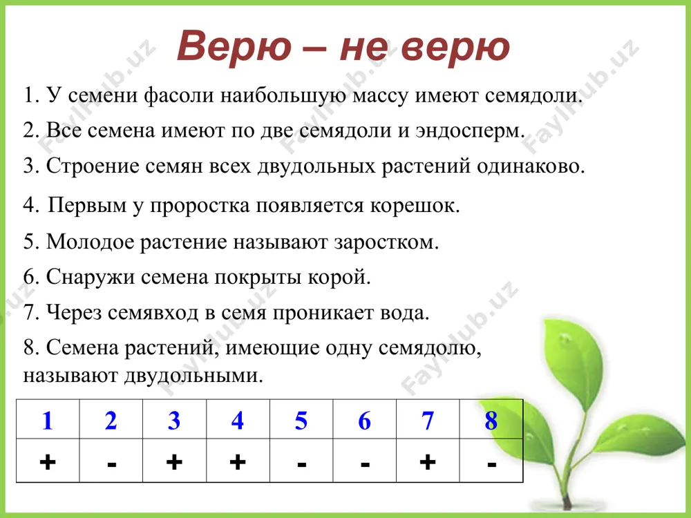 развитие проростка - Page 5