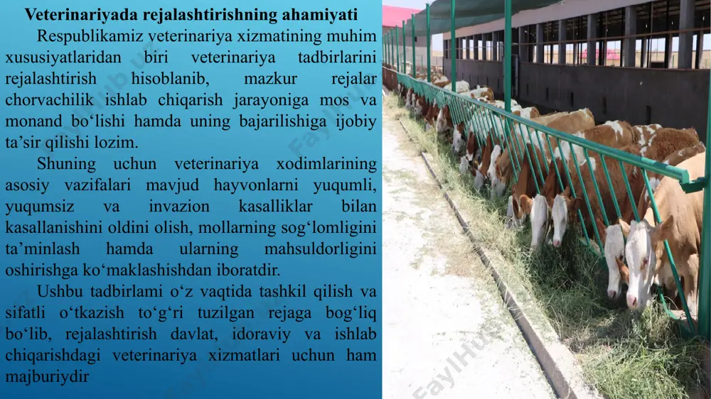 ssasalari va xizmatining moddiy-texnikaviy bazasi mustahkamlanishining asosi bo‘lishi mumkin. boshqaruv tashkilotlari, davlat veterinariya tarmog‘i muassasalari va veterinariya xizmati idoralarining rahbarlari, veterinariya tadbirlarini rejalashtirishni amalga oshirishda veterinariya statistikasining aniq materiallaridan keng foydalanishga chaqirilganlar, chunki uning hisobi va tahlilisiz veterinariya tadbirlarini ilmiy asosda rejalashtirish imkoniyati bo‘lmaydi. veterinariya tadbirlarini rejallashtirishning asosiy turlari amalda veterinariya tadbirlari bajariladigan aniq ishlarning muddatiga qarab rejalashtiriladi. istiqboliy, joriy va tezkor rejalashtirishlar farq qilinadi. ular har xil turlarga egadir. barcha veterinariya tashkilotlari, muassasalari yoki xo‘jaliklarning veterinariya xizmati uchun rejaning hamma turlari shart emas. istiqboliy rejalar odatda veterinariya tashkilotlari, qisman tuman va xo‘jalik miqyosida, joriy va tezkor rejalar esa tuman veterinariya tarmoqlarida va xo‘jaliklarda ulardagi epizootic vaziyatlar holatiga qarab tuziladi. istiqboliy rejalar viloyat (o‘lka) va respublikadagi veterinariya ishlarining rivojlanishida bosh yo‘nalishlaming eng muhim masalalarini o‘z ichiga oladi. ular 5-10 va undan ortiq yillarga. xalq xo‘jaligini rivojlantirish rejasiga qo‘shimcha sifatida tuziladi. veterinariya tadbirlarini istiqboliy rejalaming veterinariya muassasalarini moddiy-texnikaviy to ‘ldirilishi, jihozlash, …