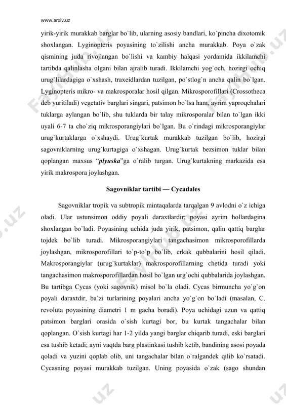 rofillardan hosil bo`lgan urg`ochi qubbalarida joylashgan. bu tartibga cycas (yoki sagovnik) misol bo`la oladi. cycas birmuncha yo`g`on poyali daraxtdir, ba`zi turlarining poyalari ancha yo`g`on bo`ladi (masalan, c. revoluta poyasining diametri 1 m gacha boradi). poya uchidagi uzun va qattiq patsimon barglari orasida o`sish kurtagi bor, bu kurtak tangachalar bilan qoplangan. o`sish kurtagi har 1-2 yilda yangi barglar chiqarib turadi, eski barglari esa tushib ketadi; ayni vaqtda barg plastinkasi tushib ketib, bandining asosi poyada qoladi va yuzini qoplab olib, uni tangachalar bilan o`ralgandek qilib ko`rsatadi. cycasning poyasi murakkab tuzilgan. uning poyasida o`zak (sago shundan olinadi), po`stloq qismi kuchli taraqqiy etgan bo`lib, traxeidlardan tashkil topgan yog`och qismi uncha rivojlanmagan. shu bilan birga sagovnik poyasi ikkilamchi tartibda qalinlasha oladi. barcha ochiq urug`lilar singari, cycas har xil sporali o`simlik bo`lib, makro- va mikrosporalar bilan ko`payadi. makrosporalar har bir makrosporangiyda bittadan yuzaga keladi, makrosporangiylarning o`zi bu o`rinda shaklan o`zgargan bo`lib, urug`kurtak deb ataladi. urug`kurtaklar makrosporofillarda …
