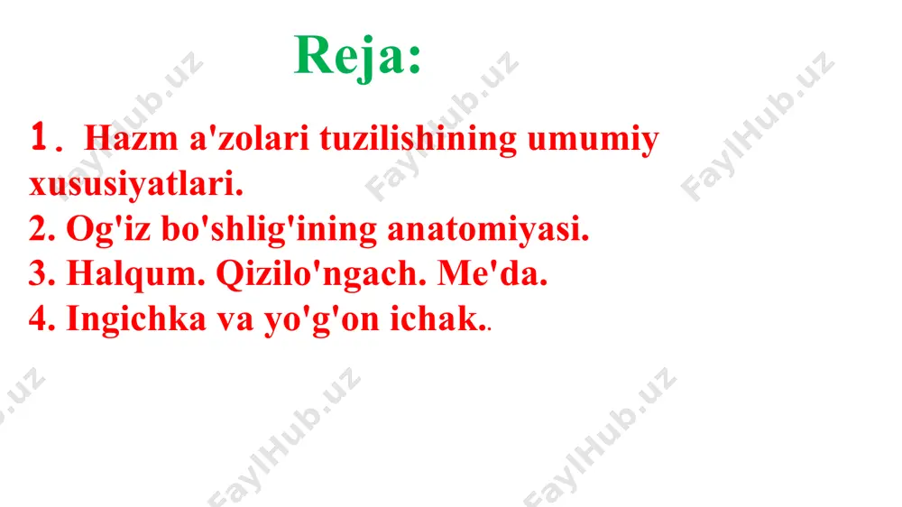 vestibulum oris cavitas oris propria vestibulum oris tashqaridan – lablar va lunjlar ichkaridan – tishlar va milklar cavitas oris propria oldindan va yondan – milk va tishlar orqadan – isthmus faucium yuqoridan – tanglay pastdan – og’iz diafragmasi organlar: lab, lunj, tish, milk, til, tanglay, so’lak bezlari lablar – labia oris labium superius labium inferius lunjlar – buccae tashqi tomondan teri, ichki tomondan shilliq qavat bilan qoplangan teriostida yog’ moddasi va mimika muskullari bo’ladi teri va muskullar orasida bish yog’ tanasi, corpus adiposum buccae, bo’ladi va chaqaloqlarda yaxshi rivojlangan gingiva - milk shilliq membrana processus alveolaris maxillae et mandibulaeni va tishning ma’lum qismini qoplab turadi. qismlari: gingiva alveolaris gingiva marginalis sulcus gingivalis papilla gingivalis so’lak bezlari – glandulae salivariae seroz va shilliq komponentli so’lak ishlab chiqaradi chiqaruv yo’llari orqali og’iz bo’shlig’iga ochiladi turlari so’lak tarkibiga ko’ra: serozli shilliqli aralash bez hajmiga ko’ra: glandulae salivariae minores labiales, buccales, molares, palatinae, labiales …